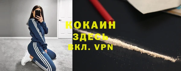 крисы Верея